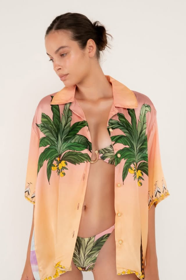 SHIRT - PALMS
