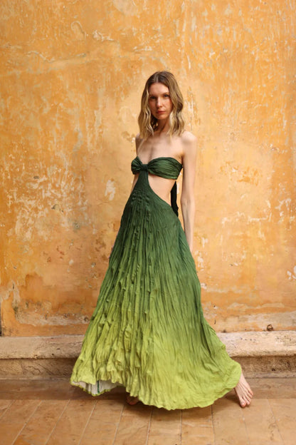 ZAMBA VERDE
