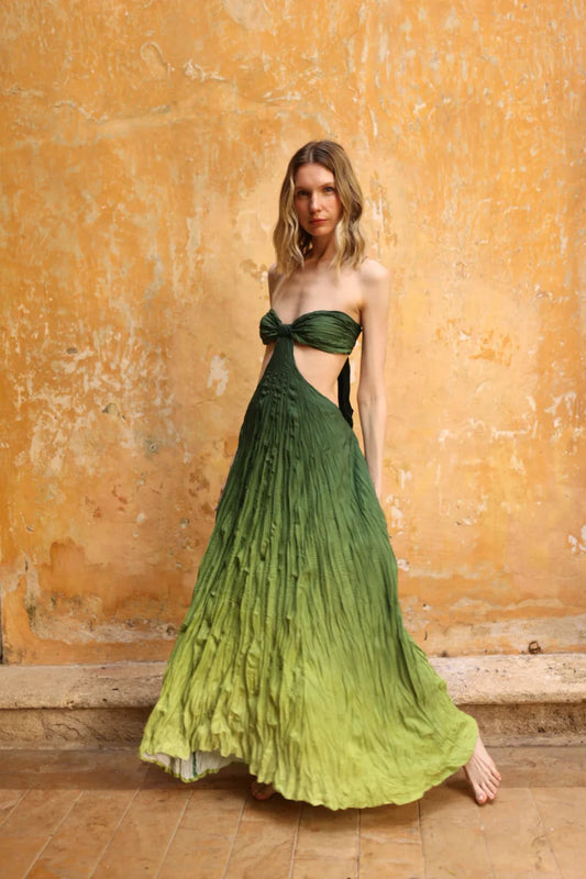 ZAMBA VERDE